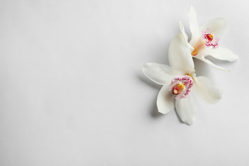 Beautiful tropical orchid flowers on grey background, flat lay. Space for text