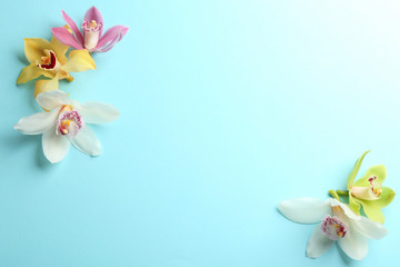 Beautiful tropical orchid flowers on color background, flat lay. Space for text