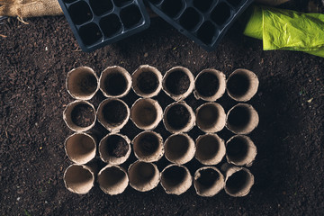 Biodegradable peat pot on greenhouse compost humus soil