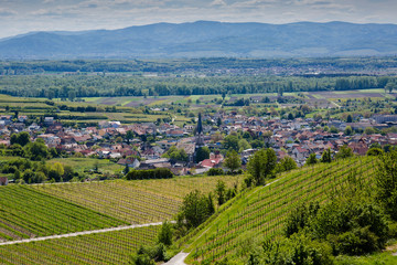 Fototapeta na wymiar Ausblick auf Ihringen am Kaiserstuhl