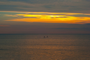 Young people early in the morning at sea on the boards