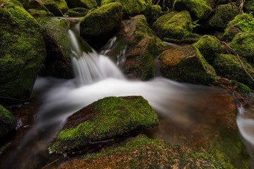 Gertelbacher Wasserfälle im Schwarzwald Bühlertal im Nordschwarzwald