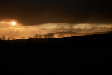 rain curtain at sunset with trees in front