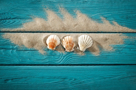 Desk of free space and summer shell 