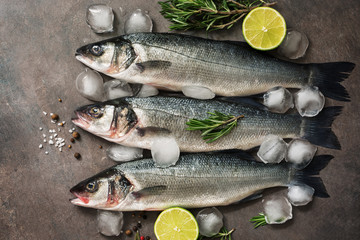 Three raw sea bass fish with rosemary, lime and ice cubes on a dark background, flat lay. Top view.