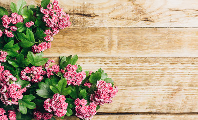Spring flowers. White and pink flowers on wooden background