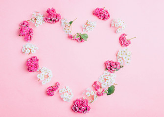 Spring flowers. White and pink flowers on light pink background.