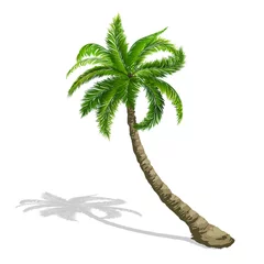 Poster Palm tree. Plants of a tropical island. Vector design © alena.art.design