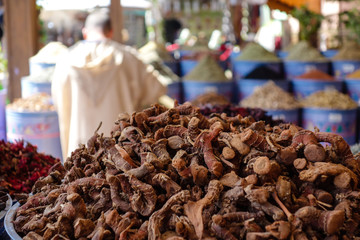 Pile of dried ginseng roots in a traditional spice shop on the bazaar in Marrakesh, Morocco