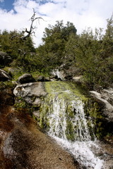 Creek at Hetch Hetchy in Yosemite National Park in California 