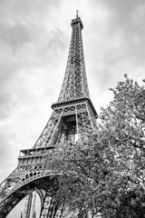 Obraz premium View from the bottom of The Eiffel Tower in Paris in cloudy day, France, in black and white colors