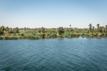 Fototapeta na wymiar Landscape on the banks of the Nile river. Egypt