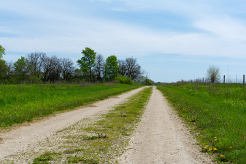 Fototapeta na wymiar Dirt road through the Prairie