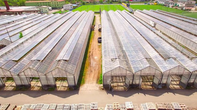 Glasshouses for flowers, vegetables and marijuana growing. Modern agriculture from above. Camera flight over garden.