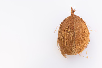 Whole coconut isolated, exotic fruit for cocktail, white background