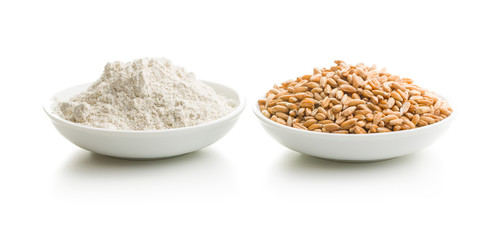 Whole grain wheat flour and wheat grains.