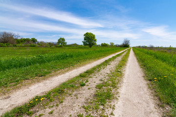 Dirt road through the Prairie