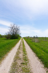 Dirt road through the Prairie