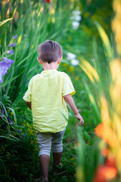 boy walking between assorted-color flowers during daytime