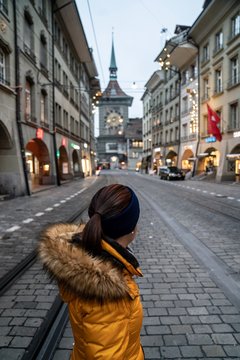 brown and black fur cat