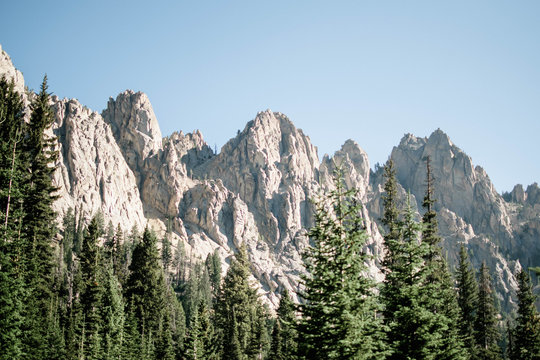 craggy peaks near pines