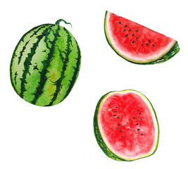 Watermelon Watercolor illustrations set of summer botanical decorations greeting card design