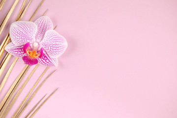 Fototapeta na wymiar Golden palm leaf and orchid flower on pink background. Tropical luxury minimal summer background. Flat lay. Copy space.