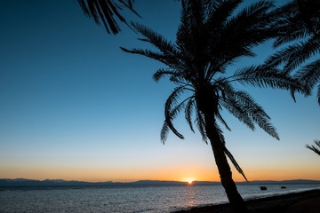 Coast of the Red Sea, in Gulf of Aqaba, near Dahab.Egypt