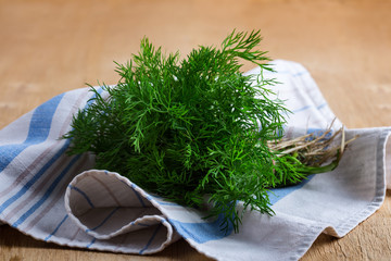 Fresh homegrown dill on kitchen towel