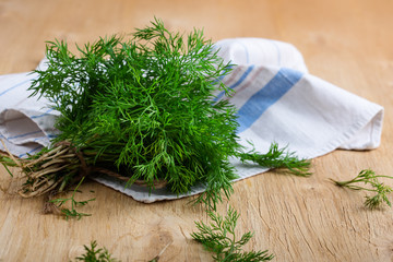 Fresh homegrown dill on kitchen towel