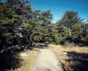 Fototapeta premium Dirt path in Chorrillo del Salto park in Patagonia 