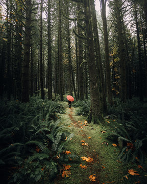 Person Walking On Trail Track