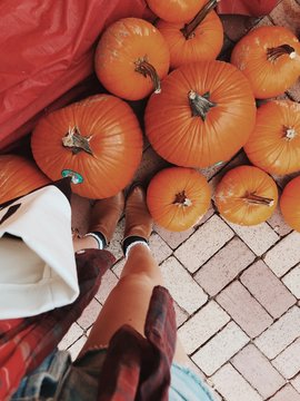 pile of orange pumpkins