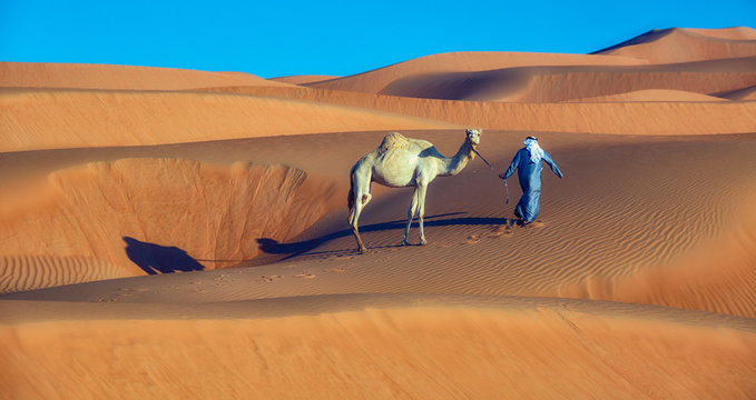 person with camel on sahara dessert