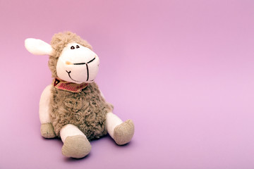 Sheep plushie doll isolated on purple background with copy space for text