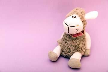 Sheep plushie doll isolated on purple background with copy space for text