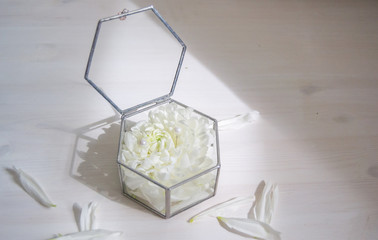 Wedding box for rings. Flowers, petals on a white background.