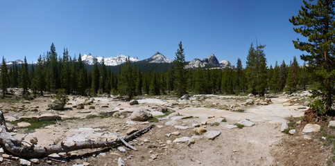 Tuolumne Meadows in the High Country in Yosemite National Park in California 