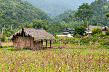 Fototapeta na wymiar Houses in the rural area of northern part of Vietnam