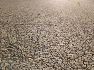 yellow dry land, drought