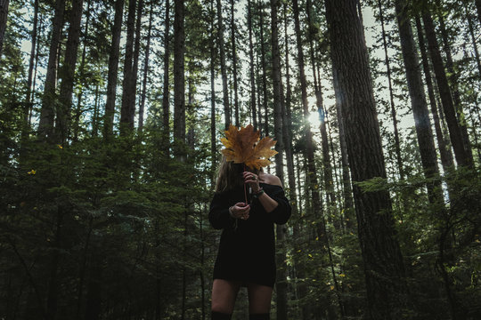 woman standing surrounded by forest trees holding maple leaf