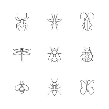 Insect icons pack. Isolated insect symbols collection. Graphic icons element