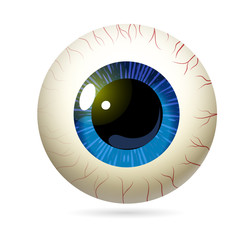 Human eye front view close-up, cornea, retina, pupil. The blue iris and white of the eye are yellow. Eyeball icon design isolated on white background. Realistic Vector Illustration