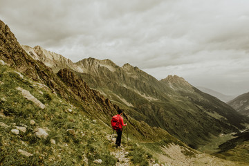 red and black flower decor