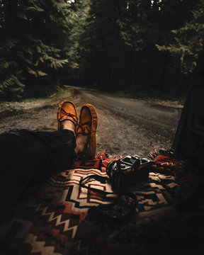 person lying under tree