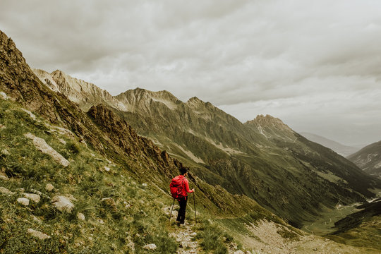 red and black flower decor