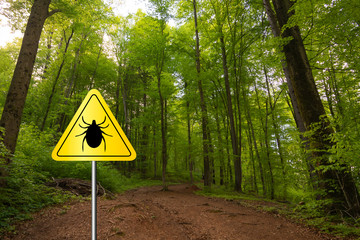 Tick insect meningitis warning sign in nature forest. Lyme disease and tick-borne...