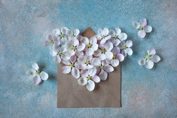Postcard background with envelope and flowers of the apple tree in the shape of a heart
