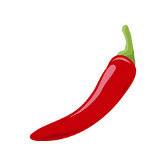 Red hot chili pepper vector illustration. Cute chili pepper