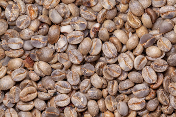 Untoasted organic Coffee beans - coffeea arabica - pattern texture artesanal
